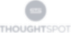 Thoughtspot Logo